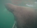 St Kilda030