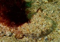 St Kilda038