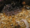 St Kilda051