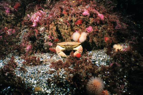 image019