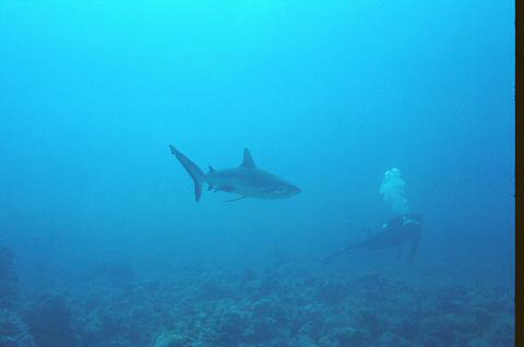 image008