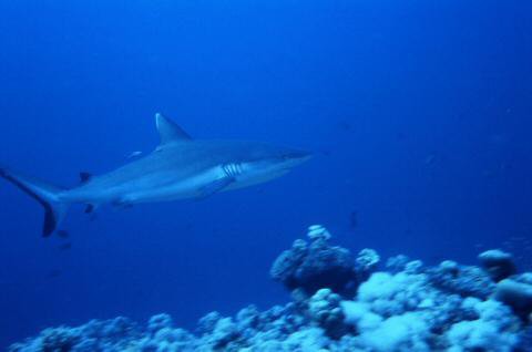image013