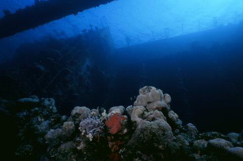 image009