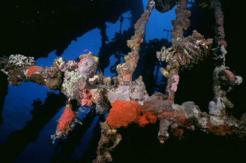 image012